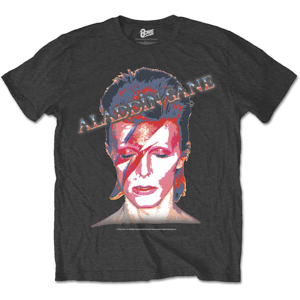 David Bowie Unisex Tee: Aladdin Sane (XX-Large)